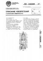 Пакер Пакер