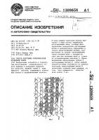 Способ получения основовязаной кружевной ленты Способ получения основовязаной кружевной ленты