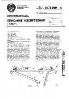 Устройство для электрооглушения животных Устройство для электрооглушения животных