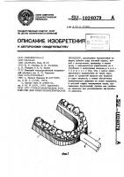 Стоматологическое устройство для гидротерапевтических процедур Стоматологическое устройство для гидротерапевтических процедур