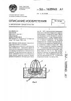 Способ окоренения суккулентных растений е.а.ершова Способ окоренения суккулентных растений е.а.ершова
