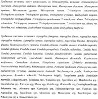 Сахарид-конъюгатные вакцины Сахарид-конъюгатные вакцины