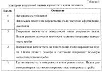 Способ автоматизированного определения показателей повреждаемости геотекстильных полотен в процессе эксплуатационных испытаний Способ автоматизированного определения показателей повреждаемости геотекстильных полотен в процессе эксплуатационных испытаний