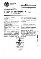 Устройство для выгрузки транспортных судов (его варианты) Устройство для выгрузки транспортных судов (его варианты)