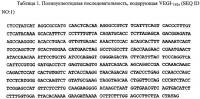 Новые изоформы ингибитора роста васкулярных эндотелиальных клеток Новые изоформы ингибитора роста васкулярных эндотелиальных клеток