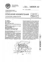 Сепарирующее устройство корнеуборочной машины Сепарирующее устройство корнеуборочной машины