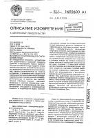 Горка с трамплином для скатывания в воду Горка с трамплином для скатывания в воду