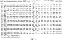 Модуляция il-2- и il-15-опосредованных т-клеточных ответов Модуляция il-2- и il-15-опосредованных т-клеточных ответов