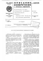 Способ выращивания тыквенныхрастений Способ выращивания тыквенныхрастений