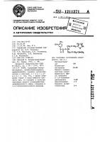 Клей Клей