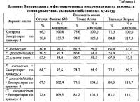 Биопрепарат для стимуляции роста растений и их защиты от фитопатогенов на основе штаммов trichoderma, штаммы trichoderma для его производства (варианты), способ получения биопрепарата на основе таких штаммов Биопрепарат для стимуляции роста растений и их защиты от фитопатогенов на основе штаммов trichoderma, штаммы trichoderma для его производства (варианты), способ получения биопрепарата на основе таких штаммов