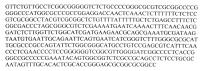 Штамм trichoderma citrinoviride bissett - продуцент антибиотиков-пептаиболов с антигрибной и антибактериальной активностью Штамм trichoderma citrinoviride bissett - продуцент антибиотиков-пептаиболов с антигрибной и антибактериальной активностью