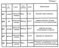 Получение антител из одних тяжелых цепей в трансгенных животных Получение антител из одних тяжелых цепей в трансгенных животных