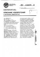 Растровый электронный микроскоп Растровый электронный микроскоп