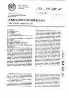 Способ получения штамбового подвоя роз Способ получения штамбового подвоя роз