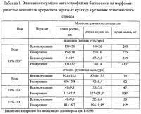 Способ повышения устойчивости растений к абиотическим стрессам Способ повышения устойчивости растений к абиотическим стрессам