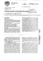Парусное вооружение плавсредства Парусное вооружение плавсредства