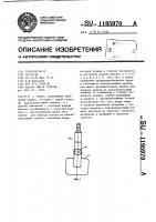 Кисть Кисть