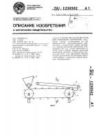 Устройство для резки клубней семенного картофеля Устройство для резки клубней семенного картофеля