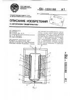 Устройство для вакуумирования полых изделий Устройство для вакуумирования полых изделий