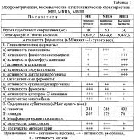 Способ оценки типов мышечных волокон Способ оценки типов мышечных волокон