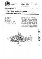 Искусственная наживка Искусственная наживка
