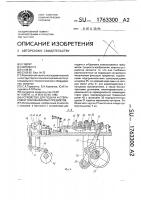 Устройство для подачи и отбраковки упаковываемых предметов Устройство для подачи и отбраковки упаковываемых предметов