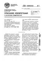 Способ создания ажурной лесополосы Способ создания ажурной лесополосы