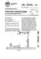 Устройство для фиксации животных Устройство для фиксации животных