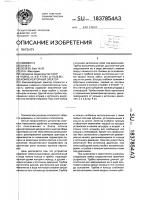 Компенсаторный эректор Компенсаторный эректор