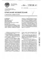 Звено упругой цепи