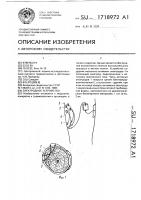 Электродное устройство Электродное устройство