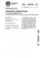 Устройство для сопряжения двух магистралей Устройство для сопряжения двух магистралей