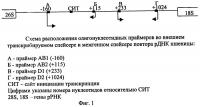 Способ определения примеси муки мягкой пшеницы в крупке (семолине) твердой пшеницы и в готовой продукции макаронной промышленности Способ определения примеси муки мягкой пшеницы в крупке (семолине) твердой пшеницы и в готовой продукции макаронной промышленности