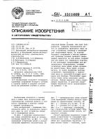 Способ крепления подземного сооружения Способ крепления подземного сооружения