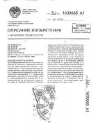 Измельчитель кормов Измельчитель кормов