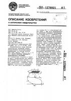 Способ перехода зонального геологического нарушения Способ перехода зонального геологического нарушения