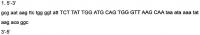 Полипептид анти-цианобактериального рекомбинантного антитела, его ген и способ его получения Полипептид анти-цианобактериального рекомбинантного антитела, его ген и способ его получения