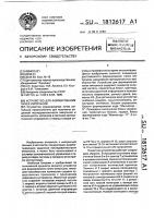 Устройство для формирования пачек импульсов Устройство для формирования пачек импульсов