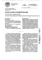 Звездочка Звездочка