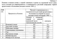 Способ защиты смородины от вредителей и болезней Способ защиты смородины от вредителей и болезней