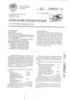 Шпаклевка Шпаклевка