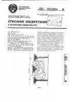 Устройство для аккумуляции наносов и стабилизации русла Устройство для аккумуляции наносов и стабилизации русла