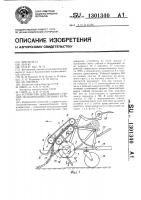 Устройство для подбора стеблей сельскохозяйственных культур Устройство для подбора стеблей сельскохозяйственных культур