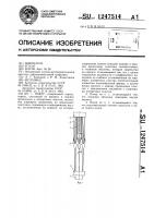 Пакер Пакер