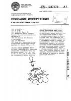Способ наложения фистул на рубец и кишечник овец Способ наложения фистул на рубец и кишечник овец