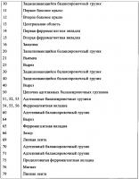 Балансировочные грузики с ферромагнитной вкладкой Балансировочные грузики с ферромагнитной вкладкой