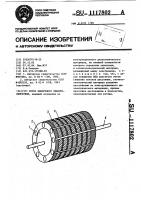 Ротор емкостного электродвигателя Ротор емкостного электродвигателя