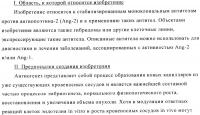 Стабилизированные антитела против ангиопоэтина-2 и их применение Стабилизированные антитела против ангиопоэтина-2 и их применение