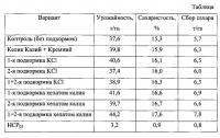 Способ повышения сахаристости сахарной свеклы в цчр Способ повышения сахаристости сахарной свеклы в цчр